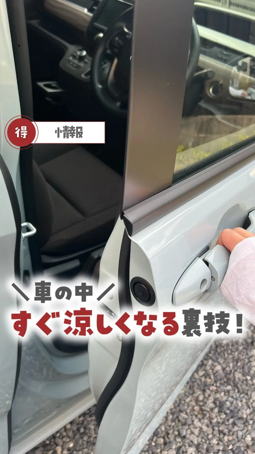 ここママ 3898 | VLINK（ブイリンク）